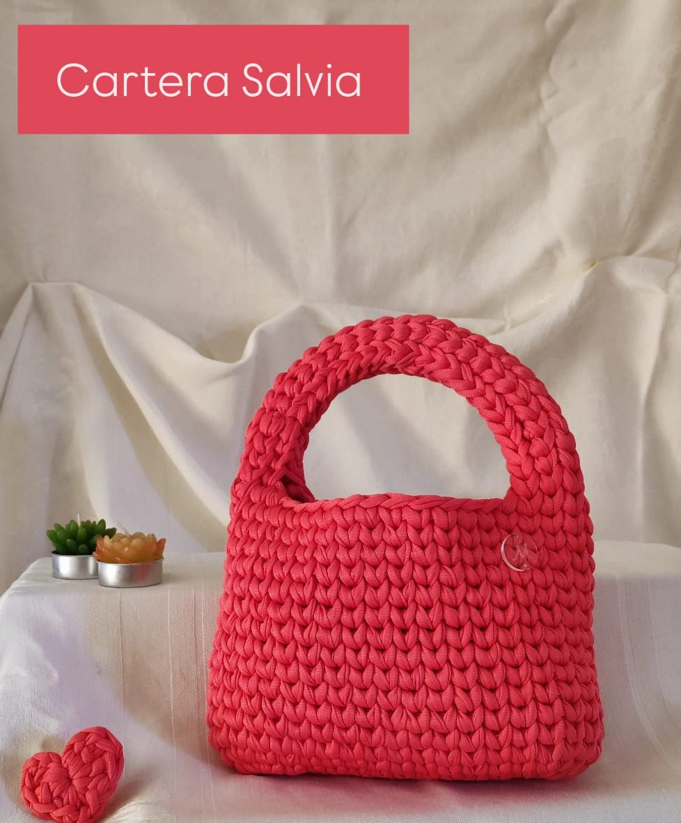 CARTERA SALVIA